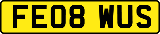 FE08WUS