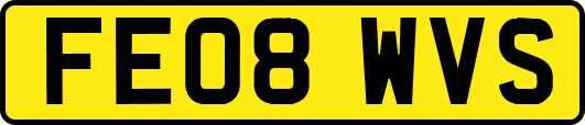 FE08WVS