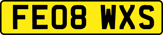 FE08WXS