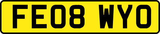 FE08WYO