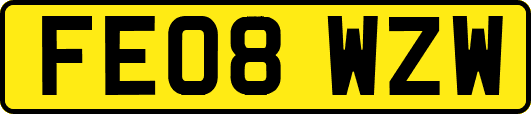 FE08WZW