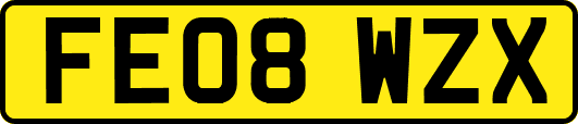 FE08WZX