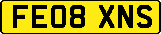 FE08XNS