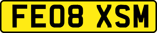 FE08XSM