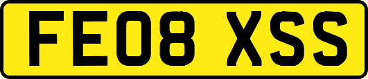 FE08XSS
