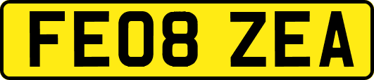 FE08ZEA