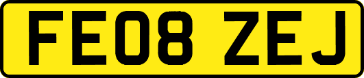 FE08ZEJ