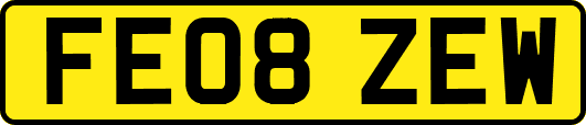 FE08ZEW