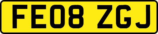 FE08ZGJ