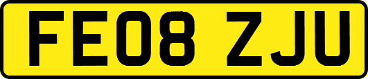 FE08ZJU
