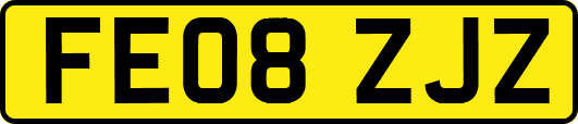 FE08ZJZ