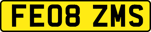 FE08ZMS
