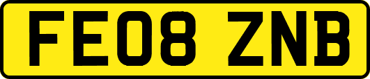 FE08ZNB