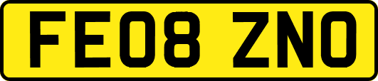 FE08ZNO