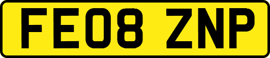 FE08ZNP