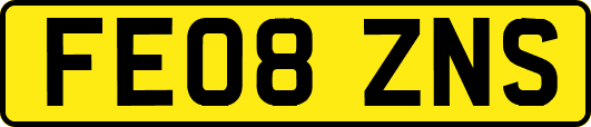 FE08ZNS