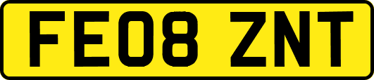 FE08ZNT