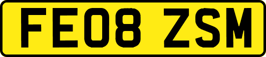 FE08ZSM
