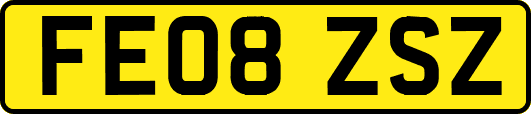 FE08ZSZ