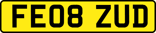 FE08ZUD