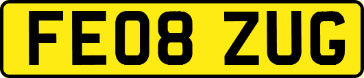 FE08ZUG