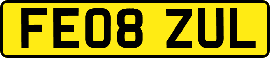 FE08ZUL