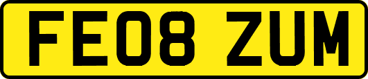 FE08ZUM