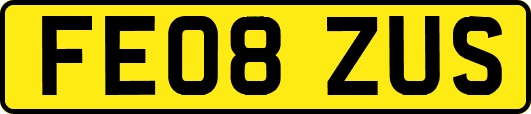 FE08ZUS