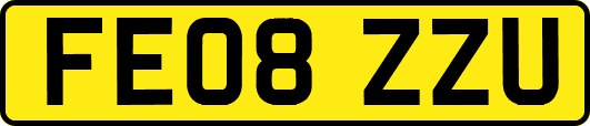 FE08ZZU