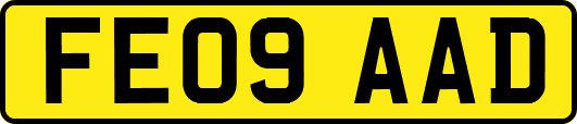 FE09AAD