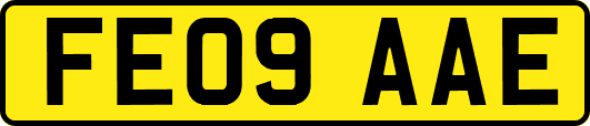 FE09AAE