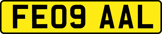 FE09AAL