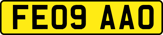 FE09AAO