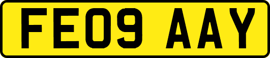 FE09AAY