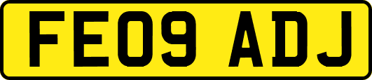 FE09ADJ