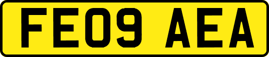FE09AEA