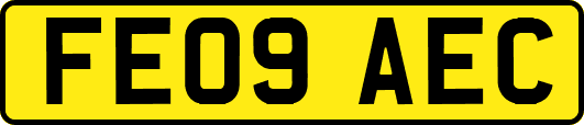 FE09AEC