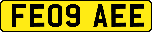 FE09AEE