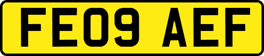 FE09AEF