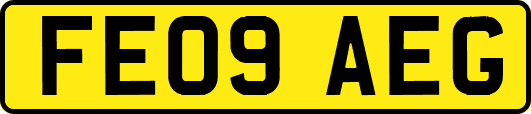 FE09AEG