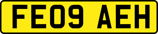 FE09AEH