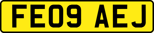 FE09AEJ