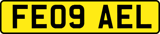 FE09AEL