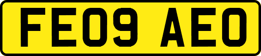 FE09AEO