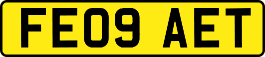FE09AET