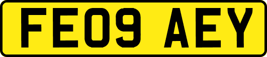 FE09AEY