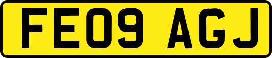 FE09AGJ