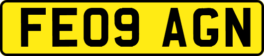 FE09AGN