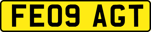 FE09AGT