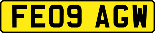 FE09AGW